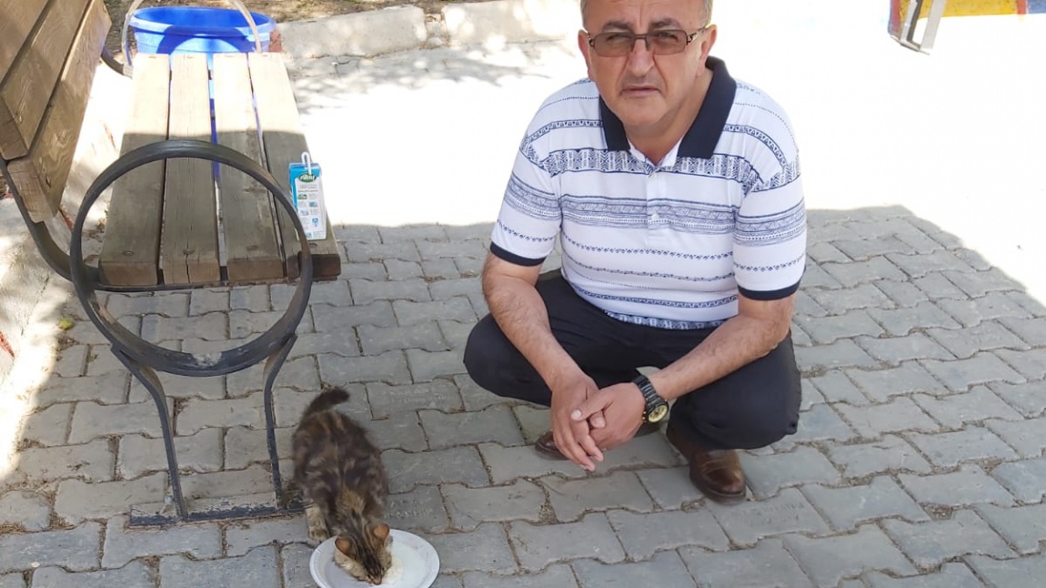 Okulumuza sığınan kediye Müdür yardımcımız Yunus Demli ve öğrencilerimiz sahip çıktı
